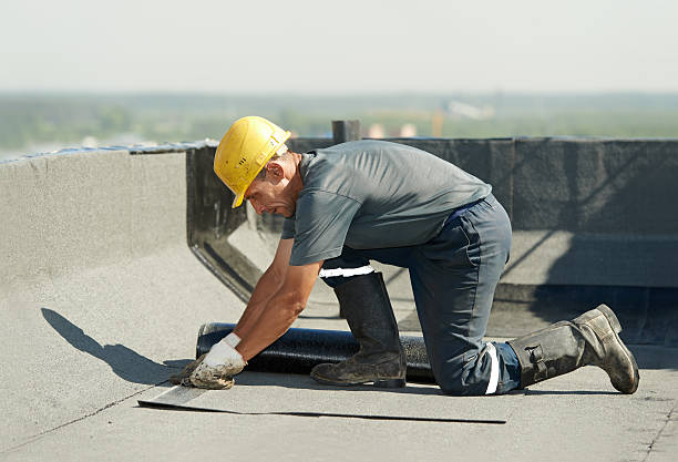 Best Attic Insulation Installation  in Cuero, TX